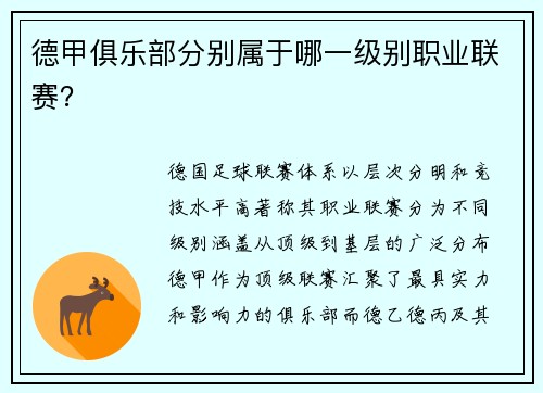 德甲俱乐部分别属于哪一级别职业联赛？